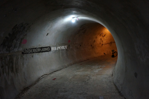 Arquivos que somem, vídeos que desaparecem e a estranha memória da internet